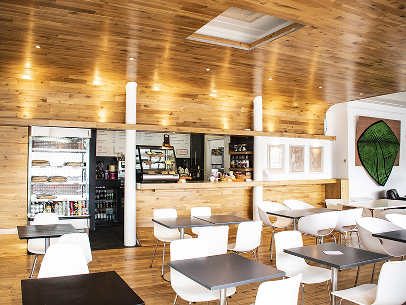 Web 4 media cafe 2