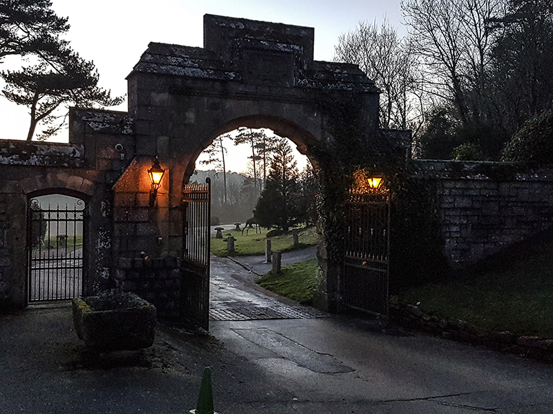 Bovey web 1